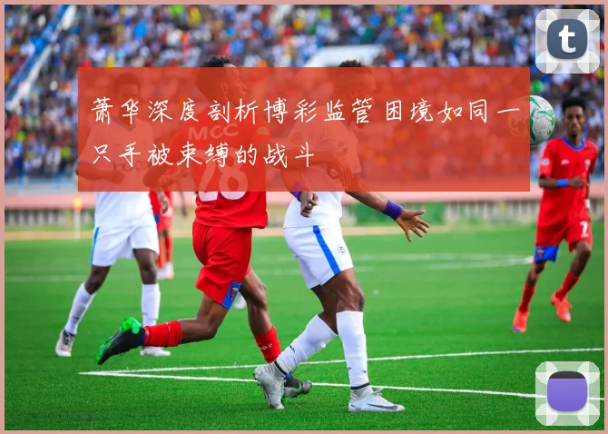萧华深度剖析博彩监管困境如同一只手被束缚的战斗