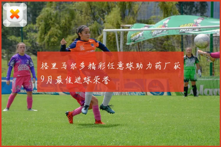 格里马尔多精彩任意球助力药厂获9月最佳进球荣誉