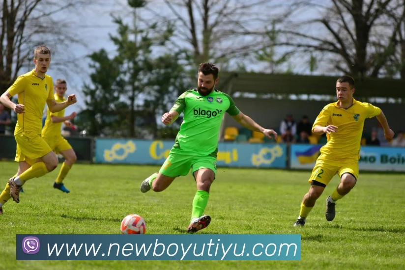 博鱼体育APP 封面图